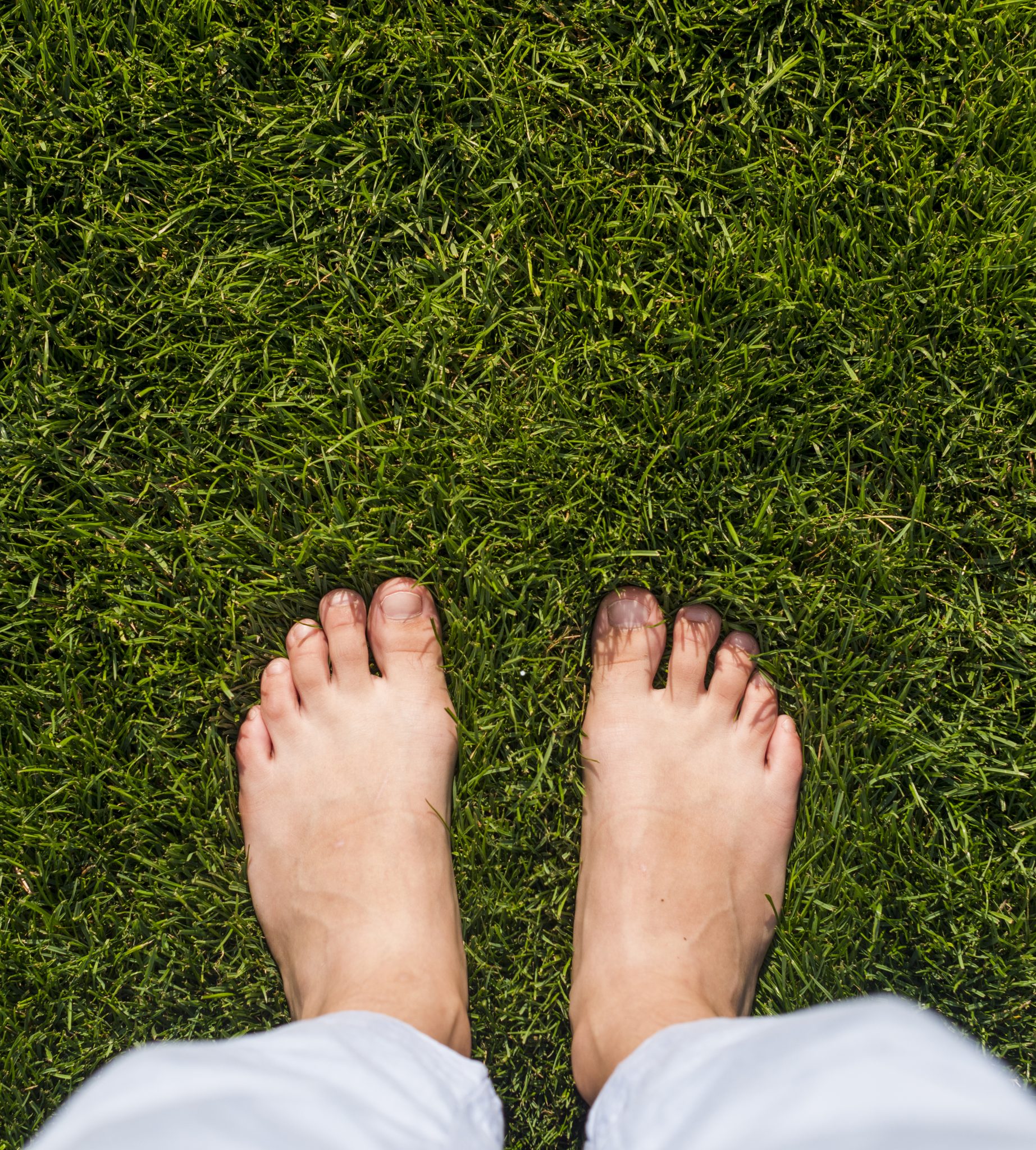 Feet картинка. Зеленые ноги. Ноги из травы. Трава под ногами. Ноги на траве фото.